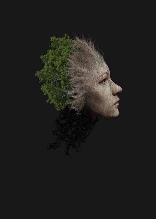 托木斯克理工大学 Diploma in Environmental Science